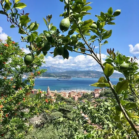 La Terrazza Con L'ulivo - Con Terrazza E Vista Sul Golfo Dei Poeti Casa de hóspedes La Spezia
