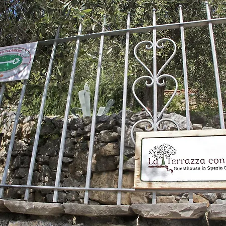 La Terrazza Con L'ulivo - Affittacamere Con Terrazzo E Vista Sul Golfo Dei Poeti Affittacamere La Spezia