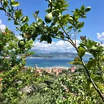La Terrazza Con L'ulivo - Con Terrazza E Vista Sul Golfo Dei Poeti 招待所 斯培西亚
