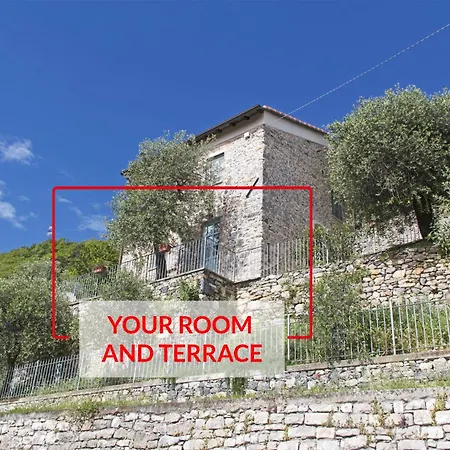 La Terrazza Con L'ulivo - Con Terrazza E Vista Sul Golfo Dei Poeti 3* 斯培西亚